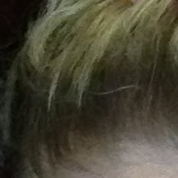 Be You Tiful Salon - $150 and 4 hours for this - Hair Salons Near Me - Belton, Texas