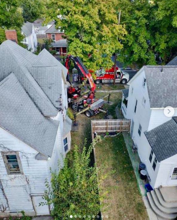 The Tree Guy - tree service in Marion, OH