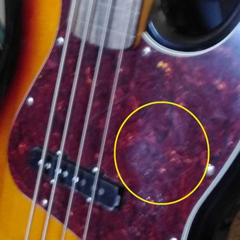 Sweetwater - pickguard sticker scar - Musical Instruments & Teachers Near Me - Fort Wayne, Indiana