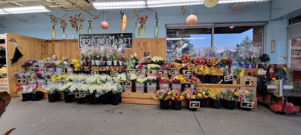 Trader Joe's by null