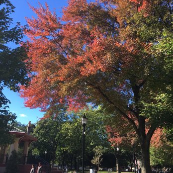 Hamilton Park - Changing of the leaves,  October 18th - Playgrounds Near Me - Jersey City, New Jersey