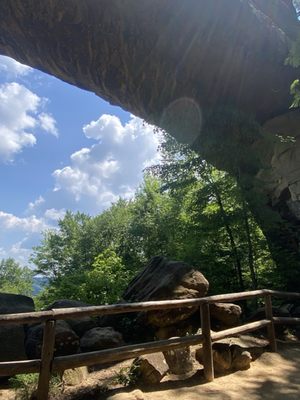 Daniel Boone National Forest by null