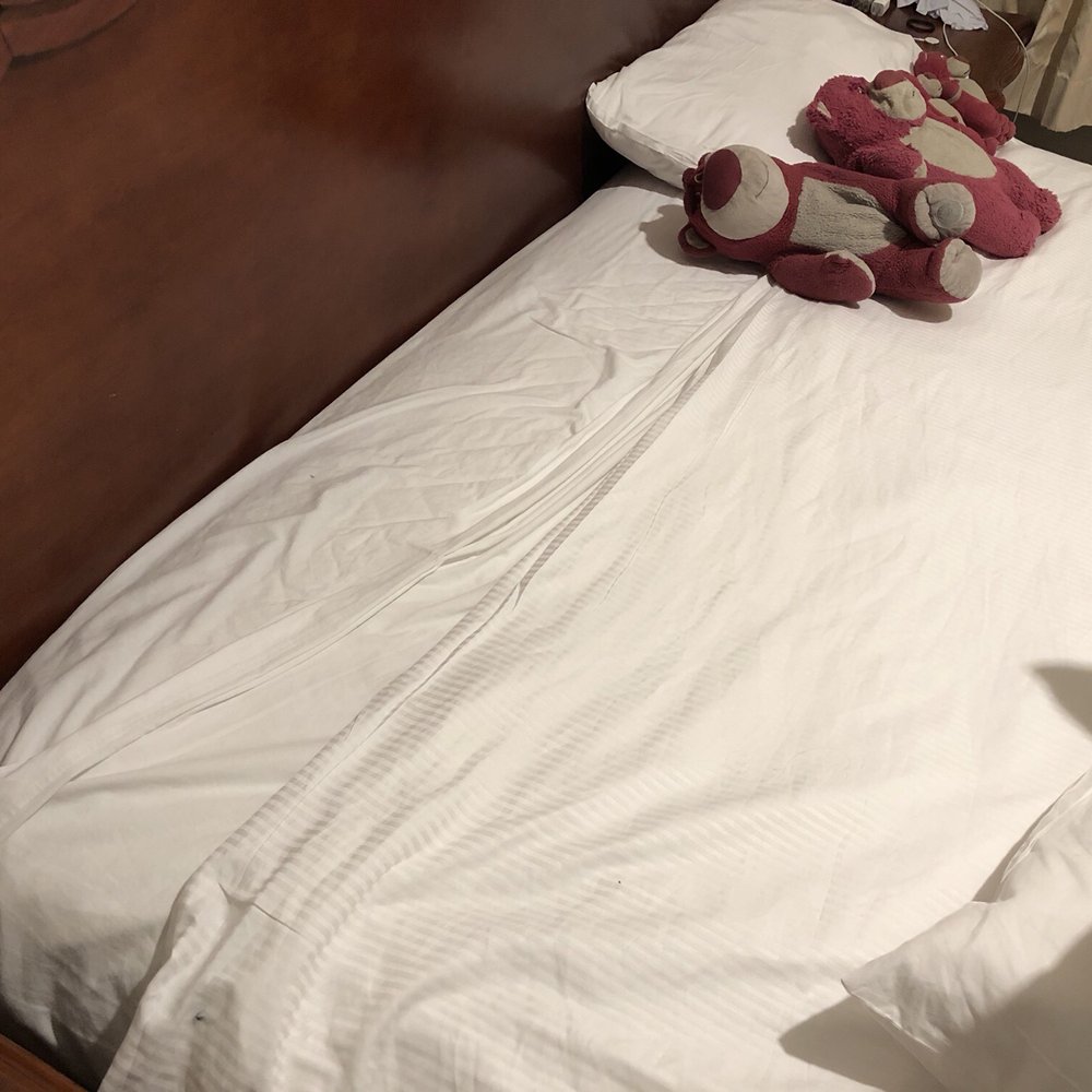The Point Hotel & Suites - Hotels Near Me - Orlando, Florida