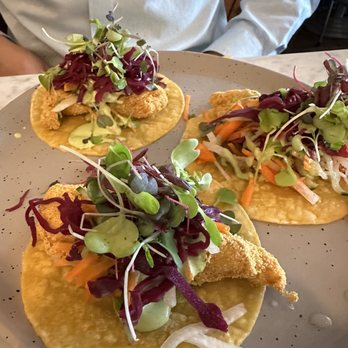 Fonda Lola - Fish tacos - Mexican Near Me - Toronto, Ontario Fonda Lola - Fish tacos - Mexican Near Me - Toronto, Ontario