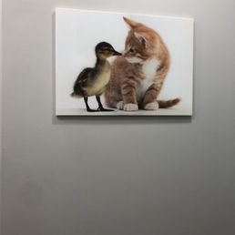 Cute photo in the exam room!