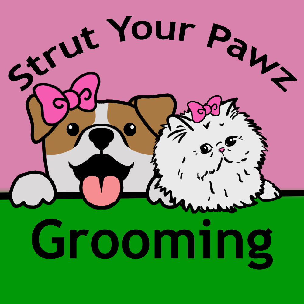 STRUT YOUR PAWZ GROOMING Updated September 2024 2060 Rd
