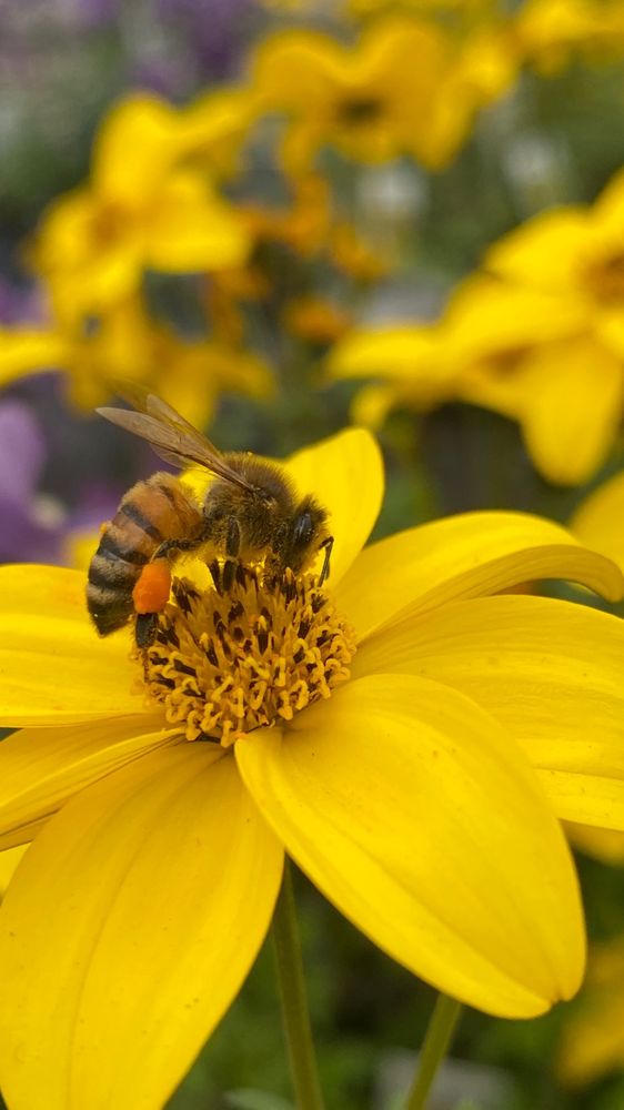 SUBURBAN LAWN & GARDEN Updated October 2024 27 Photos & 39 Reviews