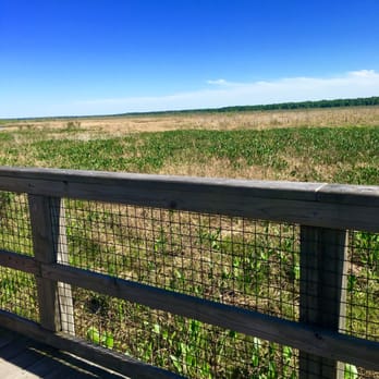 Paynes Prairie Preserve State Park - Parks Near Me - Micanopy, Florida