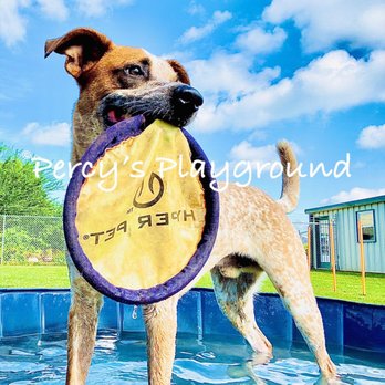Percy's Playground - Pet Boarding Near Me - Eagle Rock, Missouri Percy's Playground - Pet Boarding Near Me - Eagle Rock, Missouri