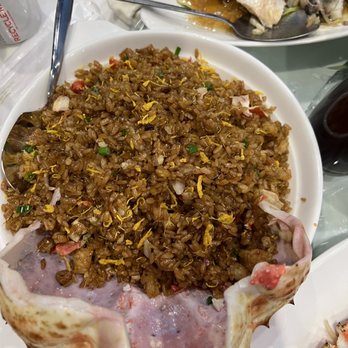 粤皇鼎海鲜会所 - Seafood Near Me - Point, New York 粤皇鼎海鲜会所 - Seafood Near Me - Point, New York