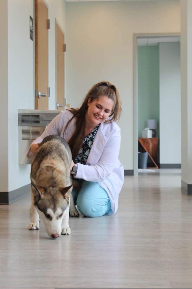 PAWSH VETERINARY CLINIC Updated September 2024 13 Photos 5255 N