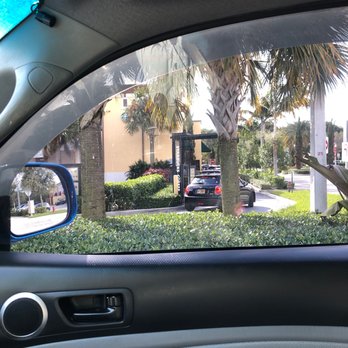 Starbucks - a bird perched on the dashboard of a car - Coffee & Tea Near Me - Delray Beach, Florida