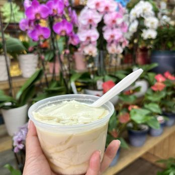 Soy Bean Chan Flower Shop - Tofu Pudding - Florists Near Me - Flushing, New York Soy Bean Chan Flower Shop - Tofu Pudding - Florists Near Me - Flushing, New York