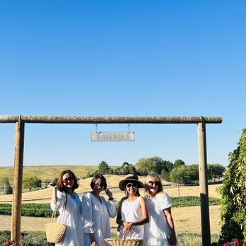 Blue Mountain Lavender Farm - Farms Near Me - Lowden, Washington