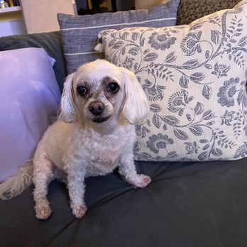 BluePearl Pet Hospital - Veterinarians Near Me - Clearwater, Florida
