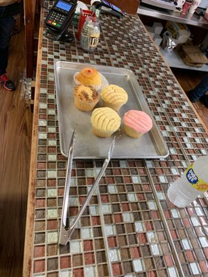 Panaderia Nuevo Leon by null