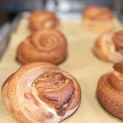 Muddy Buck Coffee House - Cinnamon