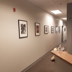 Rocky Mountain Brain & Spine Institute