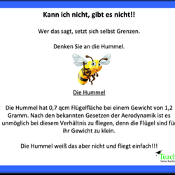 Teach Back - Hummel Prinzip