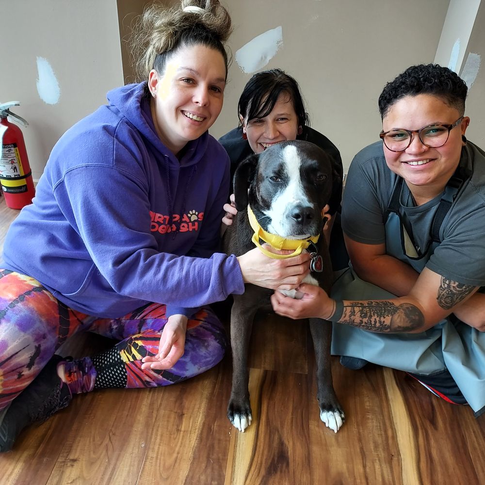 DIRTY PAWS DOG WASH Updated June 2024 22 Photos & 45 Reviews