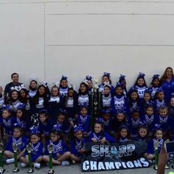 Cheer Cats