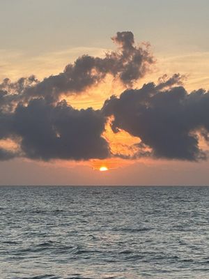 Main Beach Park by null