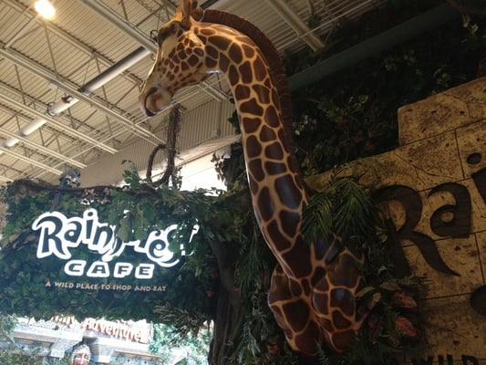 Rainforest Cafe by null