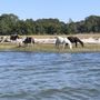 Photo of Chincoteague Boat Tours