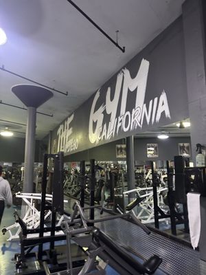 The Gym by null