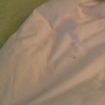The Capri Hotel - Spots on a sheet - Hotels Near Me - Ojai, California