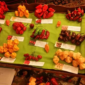 Hotel Caesar Augustus - Venues & Event Spaces Near Me - Anacapri, NA Hotel Caesar Augustus - Venues & Event Spaces Near Me - Anacapri, NA