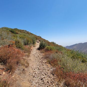 Pacific Crest Trail At Penny Pines - Hiking Near Me - Pine Valley, California Pacific Crest Trail At Penny Pines - Hiking Near Me - Pine Valley, California