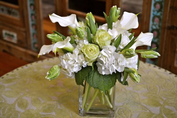 Cebolla Fine Flowers by null