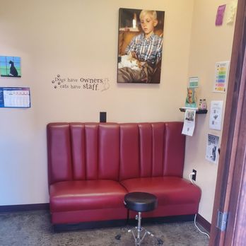 Pawz To Care - Exam room - Veterinarians Near Me - Bernalillo, New Mexico