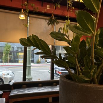 Mägo - Waiting area and street view - Colombian Near Me - Oakland, California