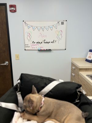 Aina Haina Shopping Center