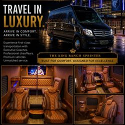 Executive Coaches