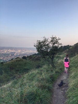 Cave Hill Country Park by null