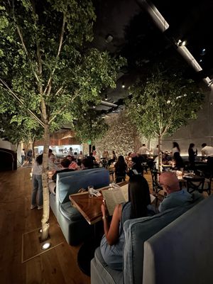 TIMBR Restaurant & Lounge by null