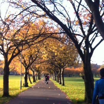 The Meadows - Gorgeous autumnal colours - Parks Near Me - Edinburgh, EDH