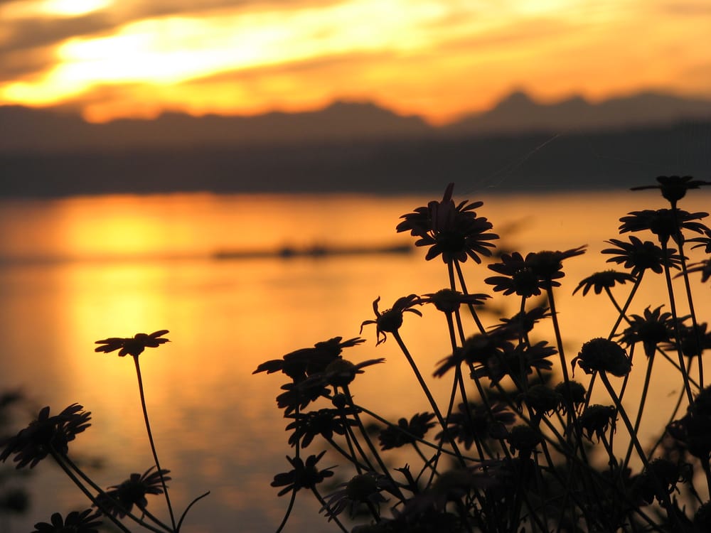 SKIFF POINT GUEST HOUSE AND RETREAT Updated October 2024 22 Photos