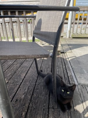 Dawson's Kitchen by null