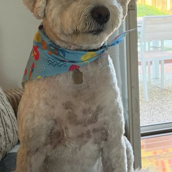 Furologist Dog Spa - Pet Groomers Near Me - San Jose, California