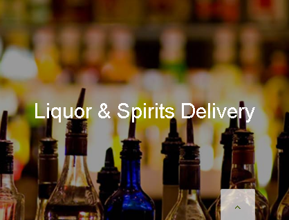The Delivery Guy Logo
