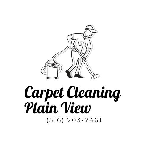PLAIN VIEW CARPET CLEANING Request a Quote Hicksville, New York