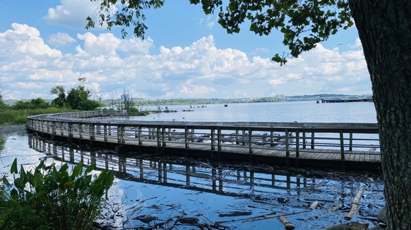 ORONOCO BAY PARK - Updated June 2025 - 91 Photos & 18 Reviews - 100