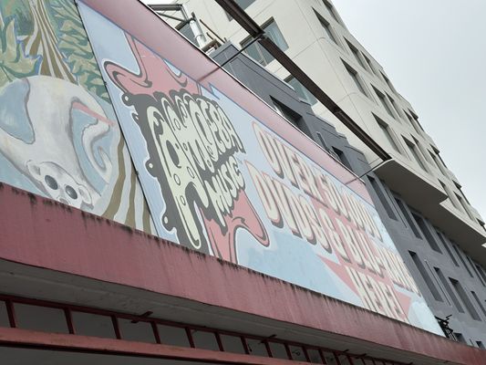 Amoeba Music by null