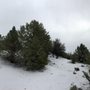 Parque Nacional Sierra de San Pedro Martir