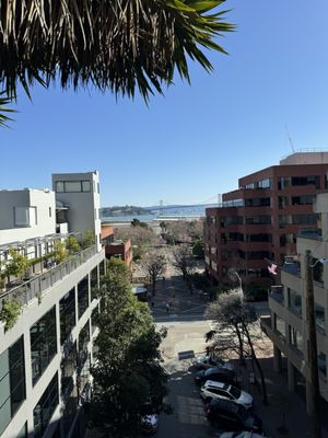 Filbert Steps by null