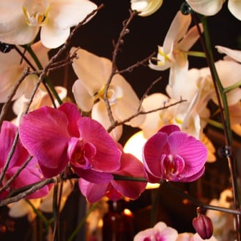[ fLo rE sta ] - Florists Near Me - Long Island City, New York